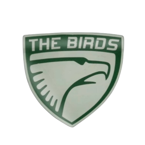 THE BIRDS FEM